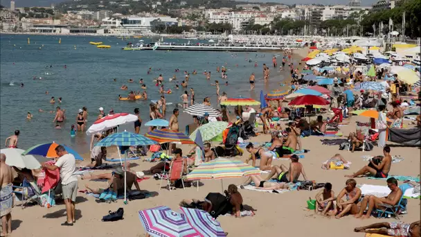 Tourisme : «La question du pouvoir d'achat est essentielle», souligne Patrick Vicériat