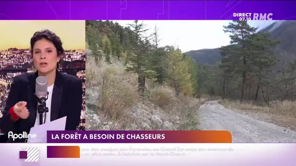 Dans une forêt de l'Isère, chasseurs et écologistes avancent main dans la main