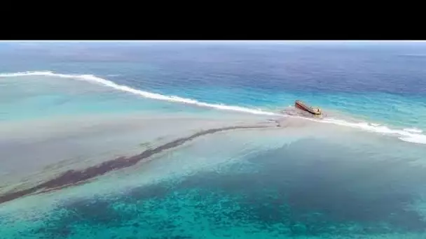 Marée noire à l'île Maurice : le mazout encore à bord du Wakashio récupéré