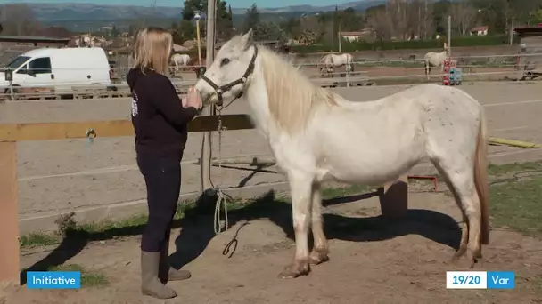 Au Beausset, un centre équestre remet en selle des chevaux