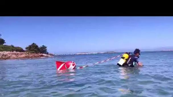 Traversée sous marine et à vélo d'un bras de mer