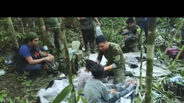 Crash d'un avion en Colombie : quatre enfants retrouvés vivants après 40 jours dans la jungle