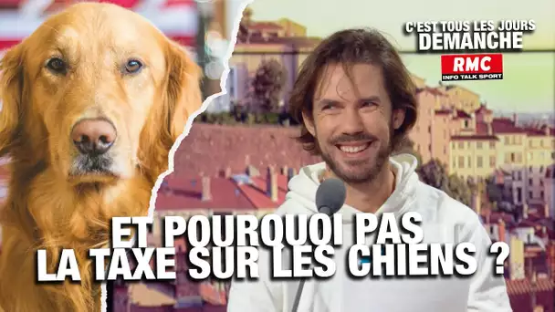 Arnaud Demanche: et pourquoi pas la taxe sur les chiens?