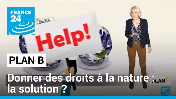 Biodiversité : donner des droits à la nature pour limiter son exploitation • FRANCE 24