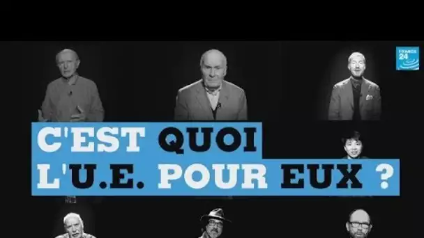 Inna Modja, Bilal Hassani, Leïla Slimani... L'Union européenne, c'est quoi pour eux ?