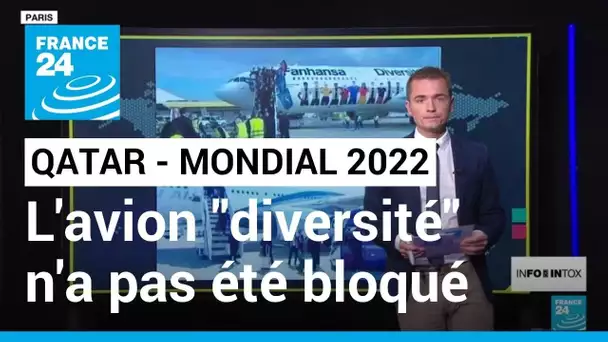 Mondial 2022 : cet avion allemand "diversité" n'a pas été bloqué par le Qatar • FRANCE 24