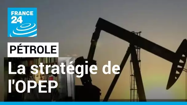 Pétrole : "il y a cet accord implicite de soutien à Poutine" • FRANCE 24