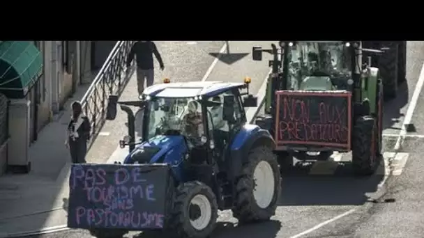 EN DIRECT - Blocages : les agriculteurs de la Coordination rurale partent d'Agen, direction Rungis