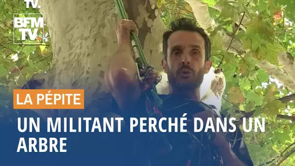 Un militant écolo perché dans un arbre