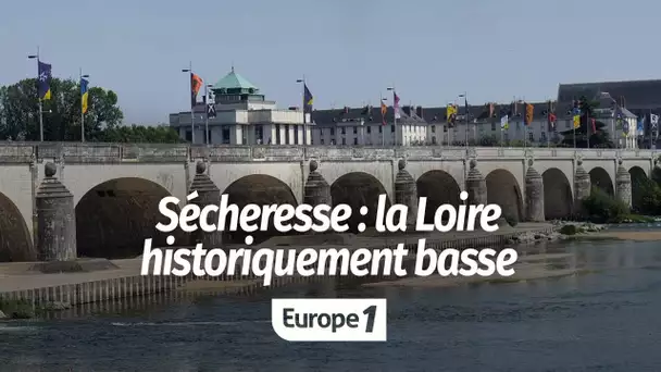 La Loire historiquement basse à cause de la sécheresse : "On peut la traverser en se mouillant le…