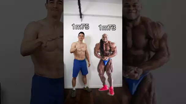How tall are these famous bodybuilders ? 😱😱