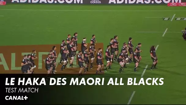 Le haka des Maori All Blacks - Test Match