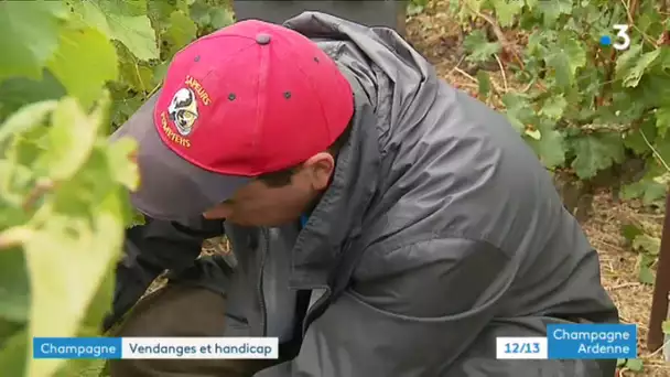 Des travailleurs de l&#039;Esat en vendanges près de Sézanne