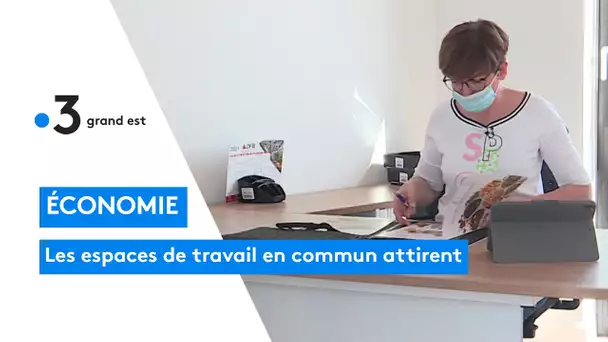 Pépinières d'entreprises, lieux de coworking : travailler ailleurs et autrement