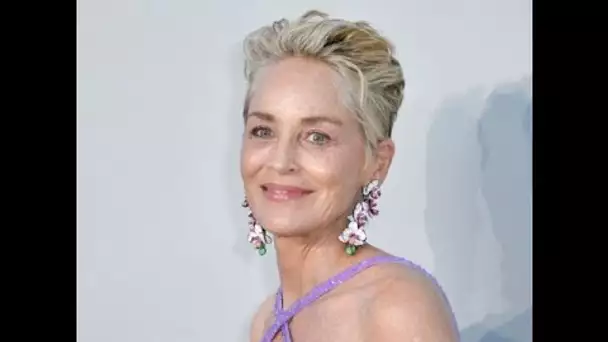 amfAR 2021 : Sharon Stone fait exploser les compteurs en récoltant une sacrée somme