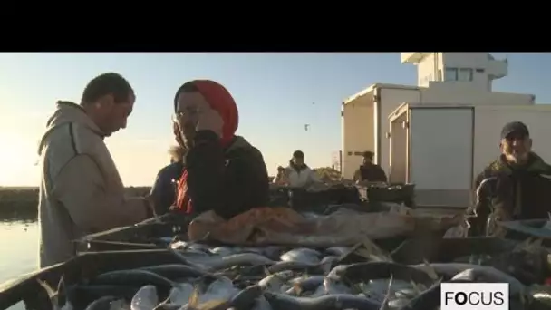 Migrants : quand les pêcheurs tunisiens deviennent sauveteurs