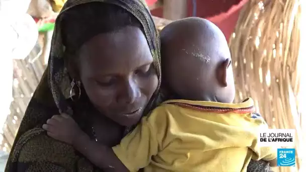 Les réfugiés maliens au Niger dans l'impasse • FRANCE 24