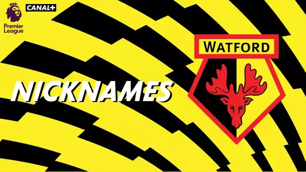 Nicknames - Les "Hornets" de Watford