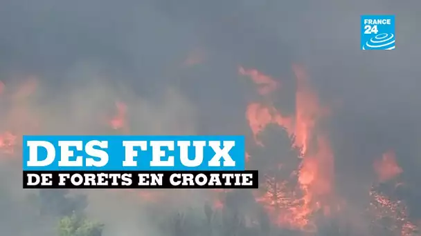 Feux de forêts en Croatie : 200 pompiers mobilisés