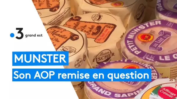 Haut-Rhin : pourquoi le label AOP du munster n'est pas adapté selon l'UFC-Que choisir