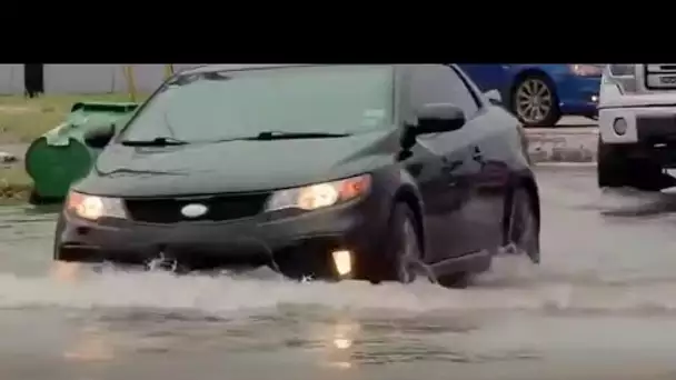 La Nouvelle-Orléans en état d'alerte avant le passage de la tempête Barry