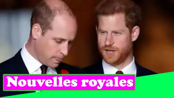 « William a la priorité ! » Harry frustré car le statut de "superstar" a alimenté la dispute fratern