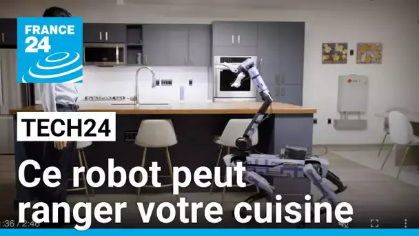 Ce robot pourra bientôt (totalement) se passer de l'homme • FRANCE 24