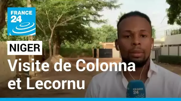 Sahel : les ministres Catherine Colonna et Sébastien Lecornu en visite au Niger • FRANCE 24