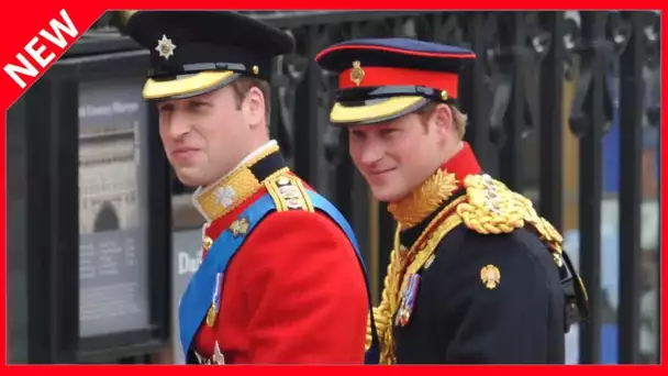 ✅  Mariage de Kate Middleton et William : le discours plein d’ironie d’Harry