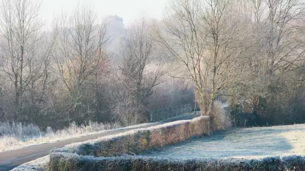 Une vague de froid va toucher la France la semaine prochaine : à quoi faut-il s'attendre ?