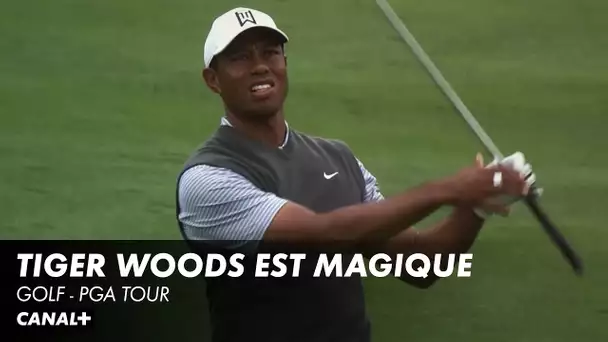 Quelques coups fantastiques du magicien Woods - Golf PGA Tour