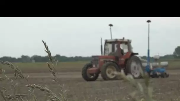 Cultures du soja en France : relocaliser pour lutter contre la déforestation • FRANCE 24