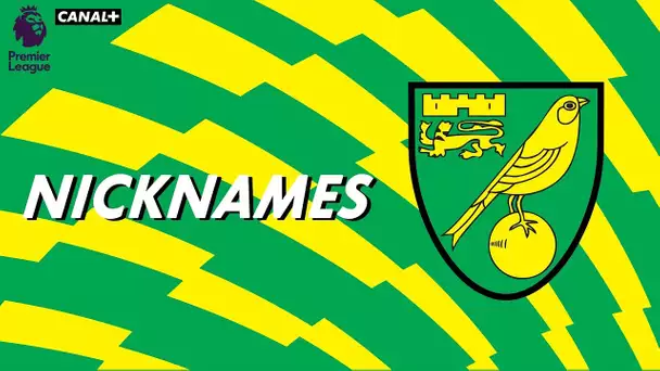 Nicknames - Les "Canaries" de Norwich City