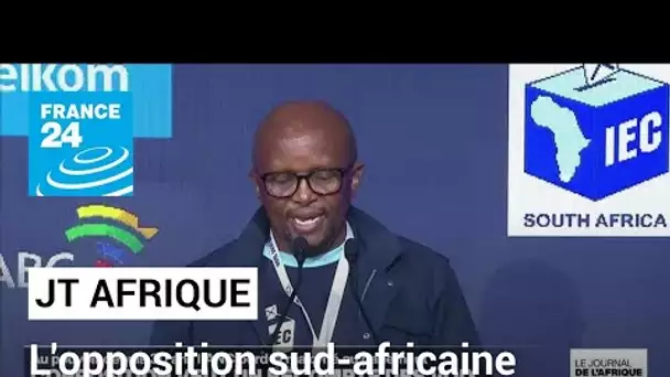 L'opposition sud-africaine demande un recomptage des voix suite aux législatives • FRANCE 24