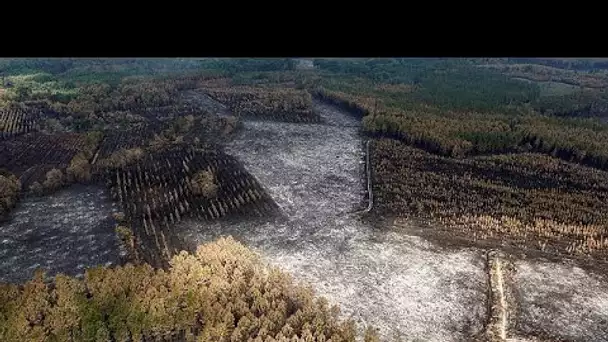 Incendies en Europe : les feux en France "désormais fixés", mais "lutte difficile" en Grèce