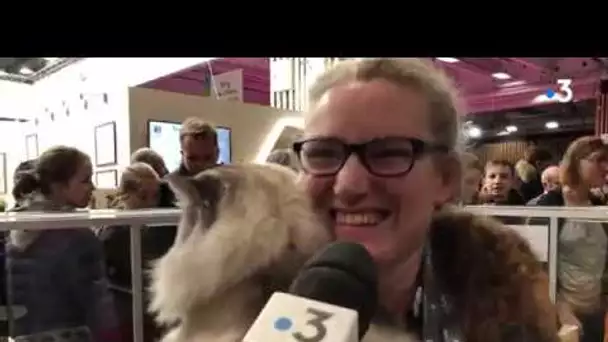 Salon de l'agriculture 2020 à Paris : les Charolaises et les chats de race de Côte-d'Or à l'honneur