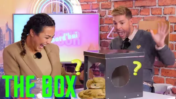 WHAT’S IN THE BOX : Elle gerbe réellement, soupçon de grossesse, Je tombe de peur !