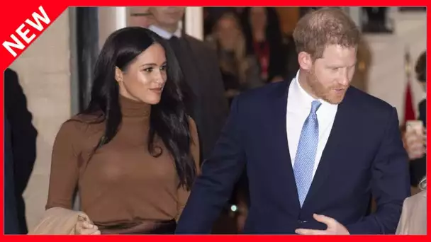 ✅  Meghan Markle et Harry défient à nouveau Elizabeth II avec un projet inattendu