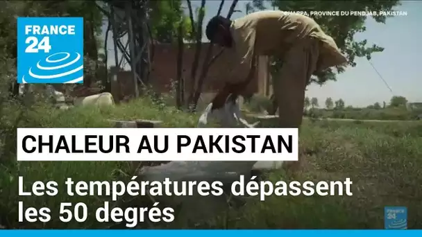 Intenses vagues de chaleur au Pakistan : les températures dépassent les 50 degrés • FRANCE 24