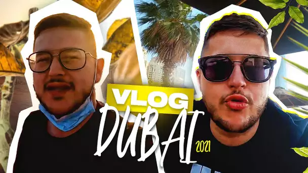 MES VACANCES À DUBAI 3