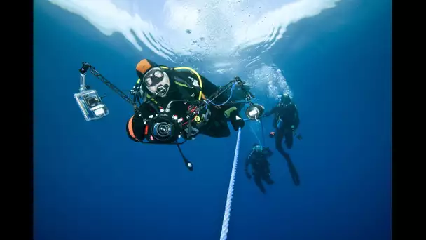 Var : Nicolas Barraqué, photographe des mers, reçoit le Trident d'Or, un célèbre prix scientifique