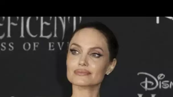 PHOTO Angelina Jolie fait son arrivée sur Instagram pour partager la lettre d'une...