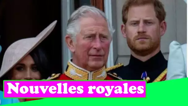 Le prince Charles dans le but d'arrêter Harry TRASHING Camilla: le prince a offert une branche d'oli