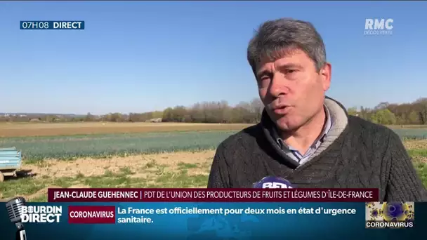 Pénurie de main-d'oeuvre dans le secteur agricole: "des conséquences maintenant mais aussi demain"