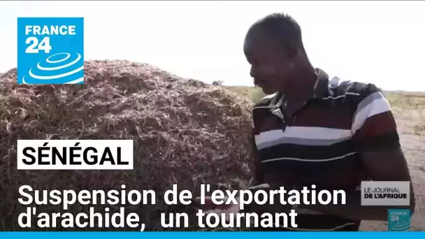 Sénégal : suspension de l'exportation d'arachide, un tournant pour l'agriculture • FRANCE 24