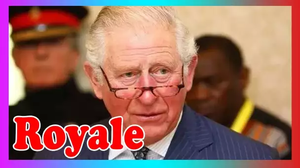 Le prince Charles « agacé » contre Harry pour avoir volé la vedette avec une déclaration explosive