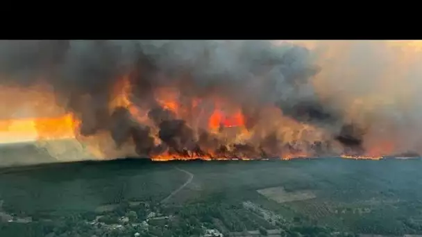 Incendies, canicules et sécheresse : un été historique en Europe