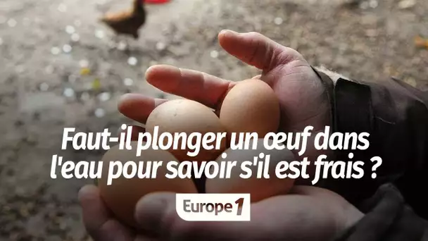 Il faut plonger un œuf dans l’eau pour savoir s’il est frais ?