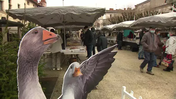 Polémique autour du marché au gras de Périgueux