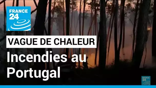 Vague de chaleur : le Portugal peine à maîtriser plusieurs feux de forêt • FRANCE 24